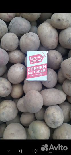 Продам картофель на корм скоту