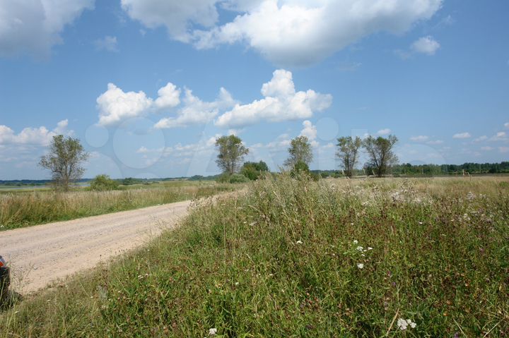 Участок 19,5 сот. (ИЖС)