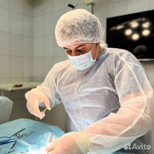 Вызов ветеринарного специалиста