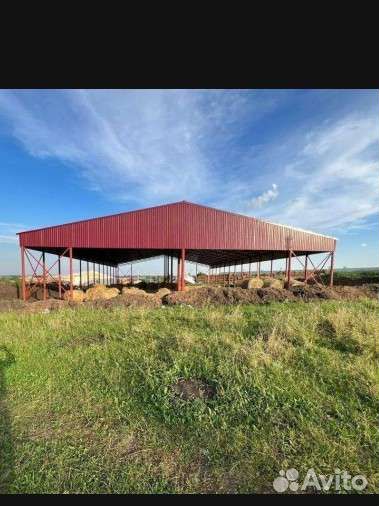 Ангар прямостенный