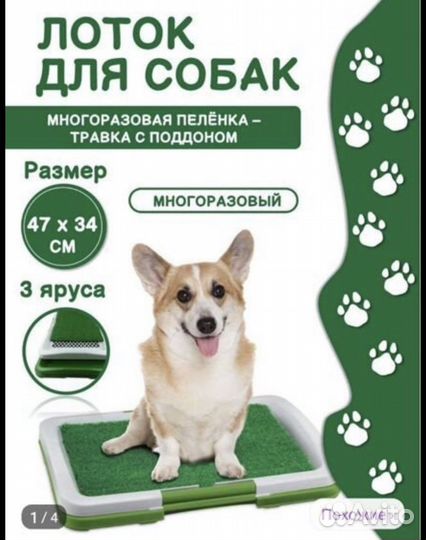 Лоток, лежанка, корм для собак