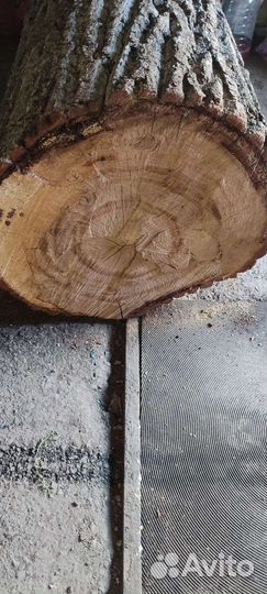 Дубовый чурбак
