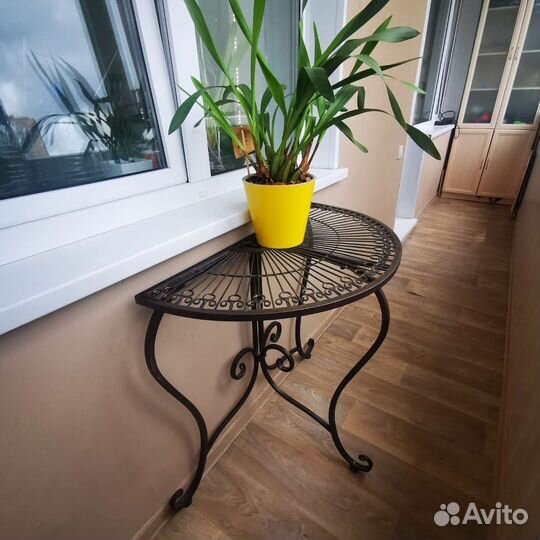 Орхидея ароматная Maxillaria Picta