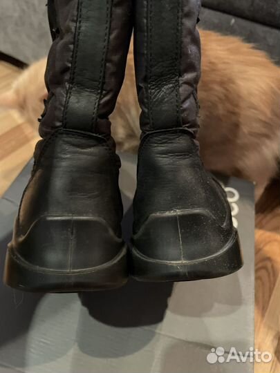 Сапоги для девочки ecco 35