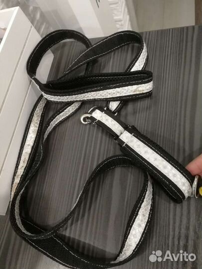 Шлейка, ошейник для собак