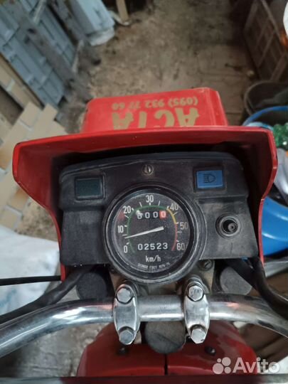 Зид пилот 50