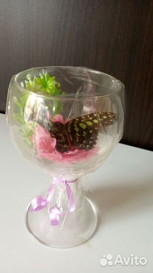 Бокал с засушенной бабочкой