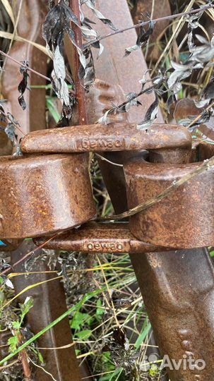 Гусянки на форвардер