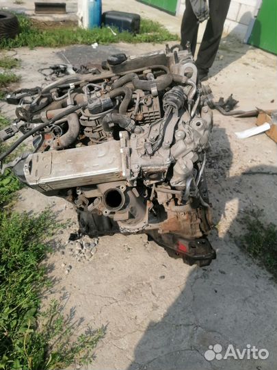 Двигатель Mercedes om 651
