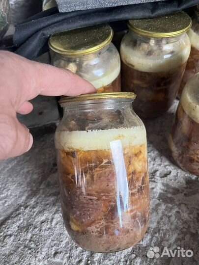 Тушенка говядина