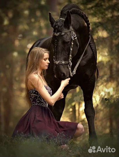 Фотопроект с лошадьми 