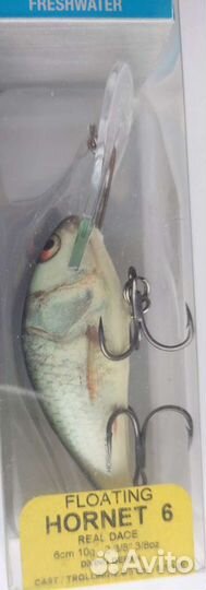 Salmo hornet 6F-RD/BT
