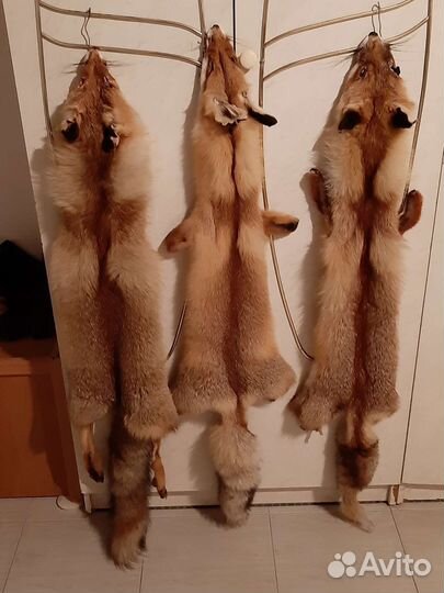 Лисьи шкуры
