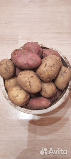 Продам крупный картофель