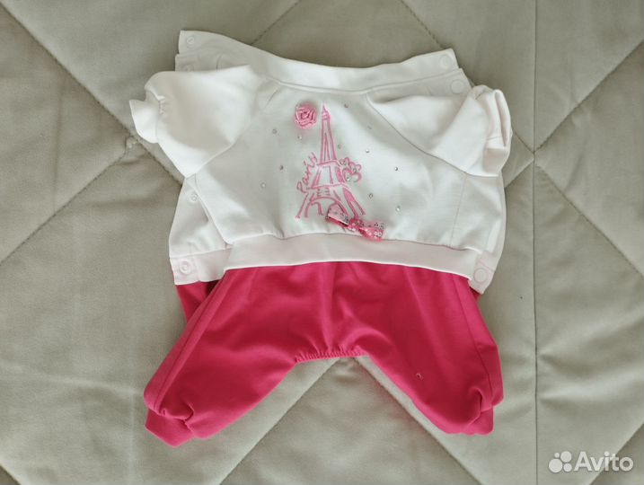 Одежда для маленьких собак