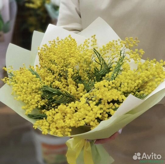 Букеты из мимозы (Арт.40491)