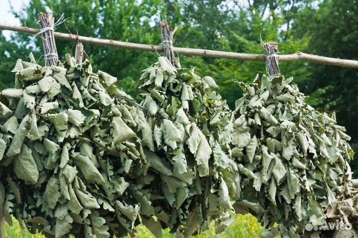 Веники березовые