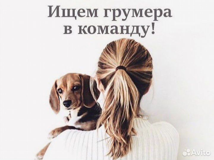Грумер