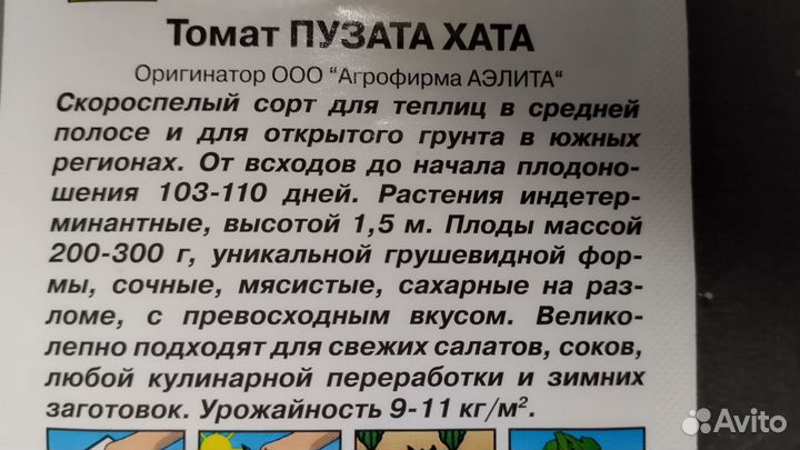 Рассада томатов, мелисса