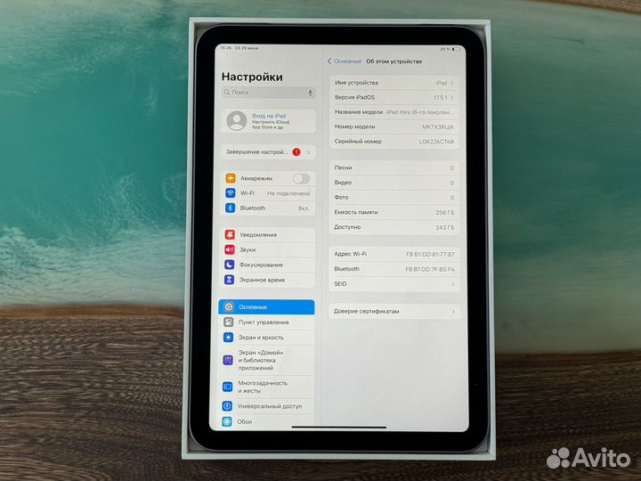 iPad Mini 6 256gb В Отличном состоянии
