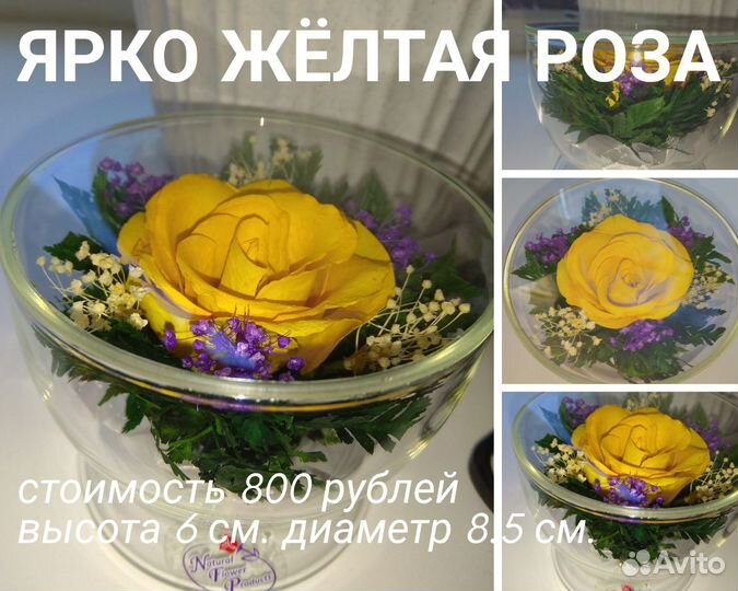 Розочки в вакууме