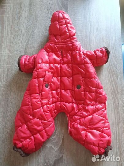 Верхняя одежда для собак мелких пород