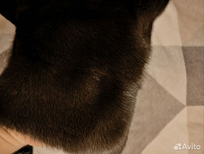 Шуба норковая