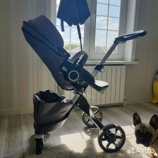Коляска stokke. xplory