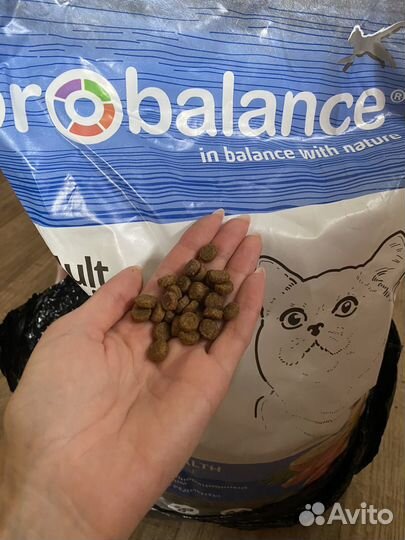 Сухой корм для кошек ProBalance