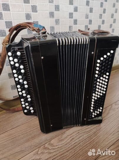 Баян тульский