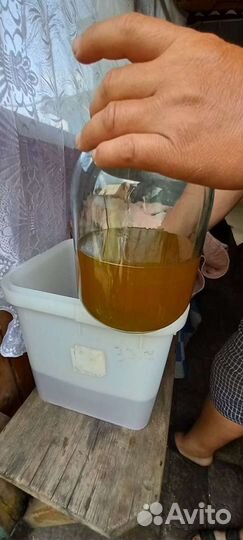 Мёд цветок с. И документами