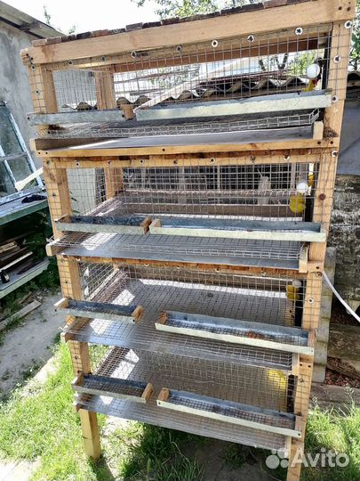 Клетка для перепелов бу