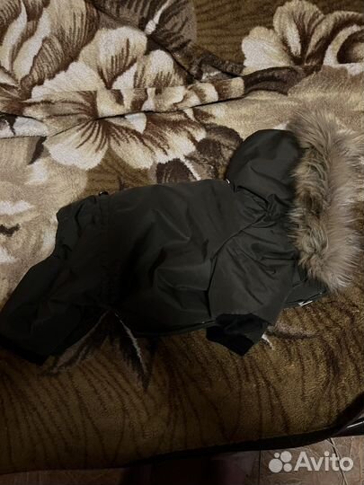 Зимний комбинезон для маленьких и средних собак