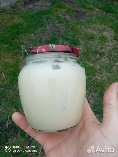 Мед рапсовый 2023