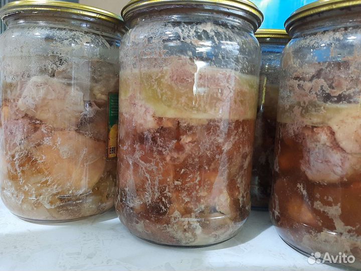 Домашняя тушенка из индейки,индоутки,гуся,свинины