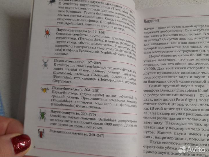 Книга энциклопедия Пауки