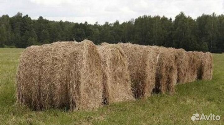Сено в рулонах