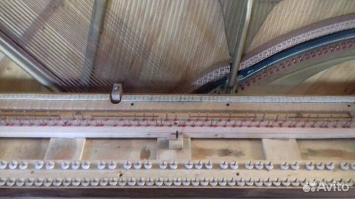 Настройка и ремонт фортепиано (пианино, рояль)