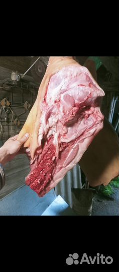 Домашняя свинина