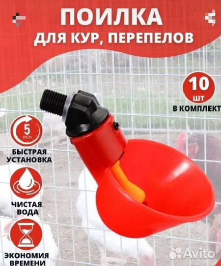 Поилка для птиц