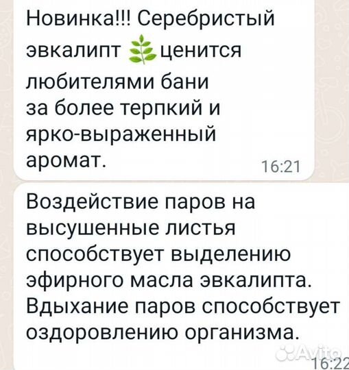 Веники эвкалиптовые 2 вида в наличии