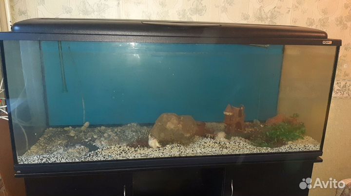 Аквариум