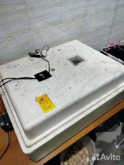 Инкубатор для яиц автоматический