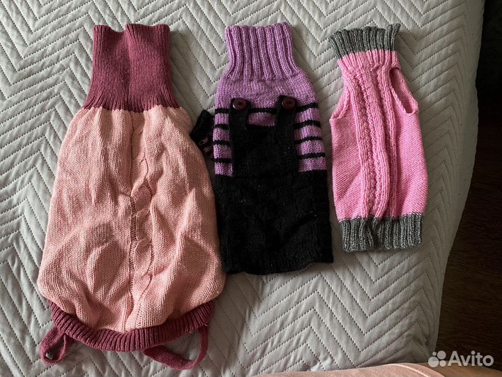 Одежда для собак и кошек