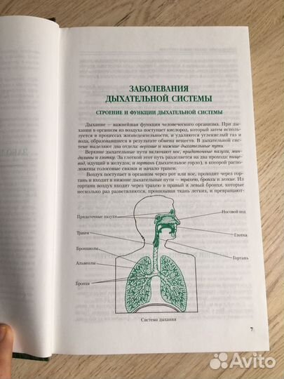 Полная энциклопедия народной медицины