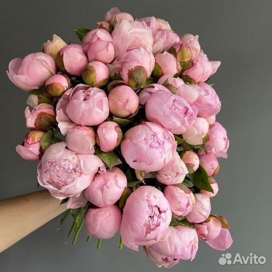 Пионы доставка цветов букеты