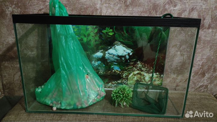 Аквариум