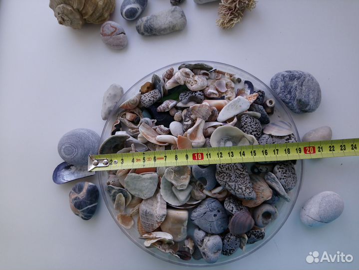 Ракушки и камушки для творчества