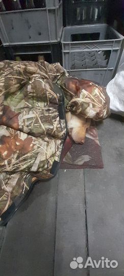 Помесь лабрадора