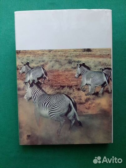 Вагнер Й., Шнайдерова Н. Сафари под Килиманджаро